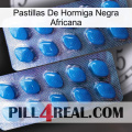 African Black Ant Pills viagra2